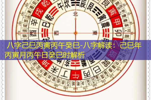  八字己巳丙寅丙午癸巳-八字解读：己巳年丙寅月丙午日癸巳时解析