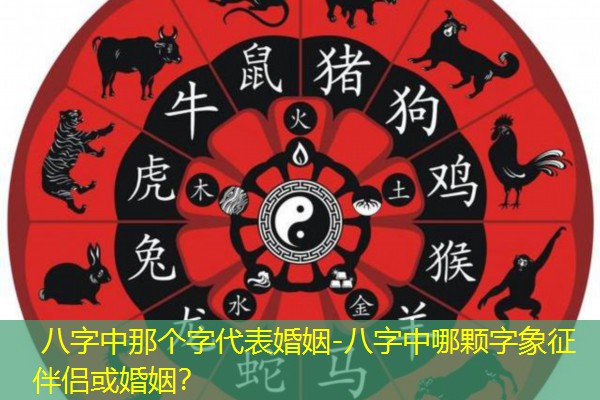  八字中那个字代表婚姻-八字中哪颗字象征伴侣或婚姻？