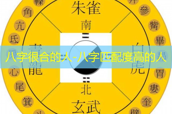  八字很合的人-八字匹配度高的人