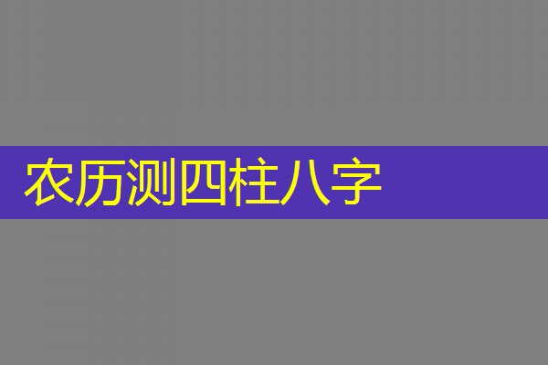  农历测四柱八字