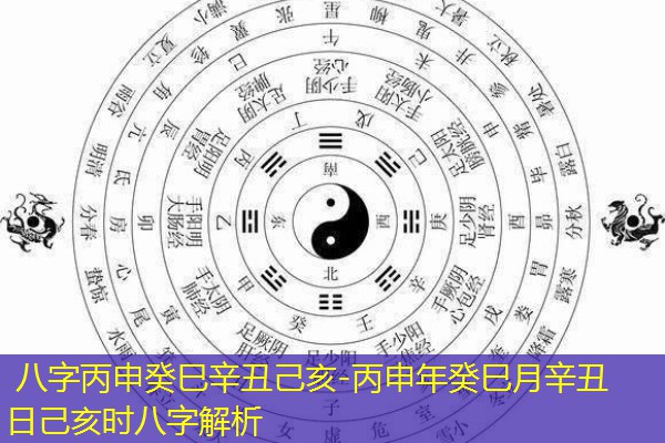  八字丙申癸巳辛丑己亥-丙申年癸巳月辛丑日己亥时八字解析