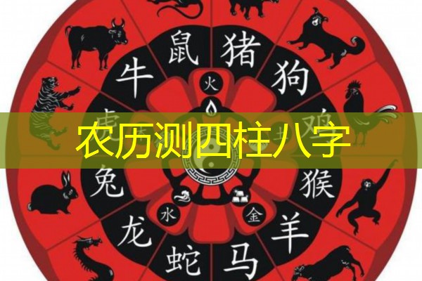  农历测四柱八字