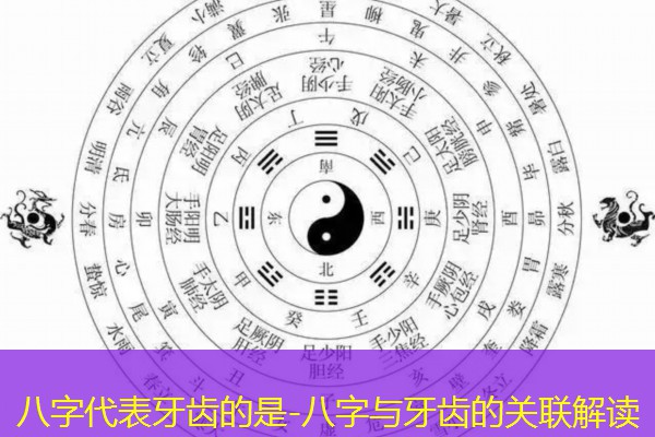  八字代表牙齿的是-八字与牙齿的关联解读