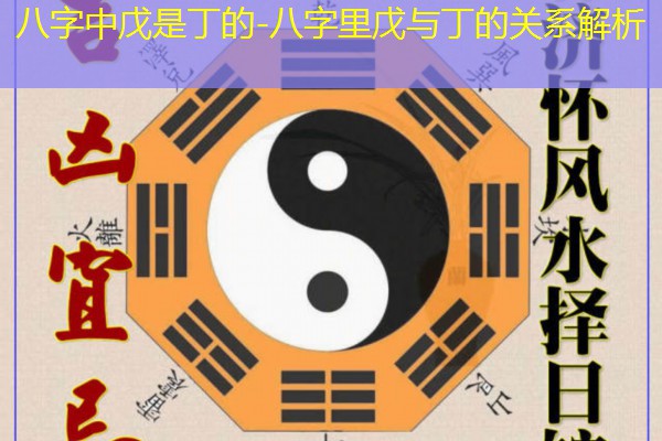  八字中戊是丁的-八字里戊与丁的关系解析