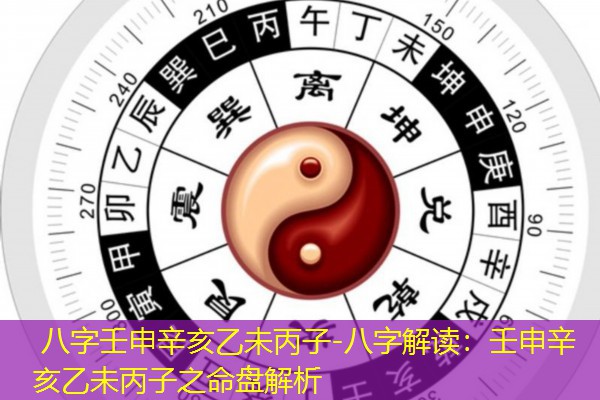  八字壬申辛亥乙未丙子-八字解读：壬申辛亥乙未丙子之命盘解析