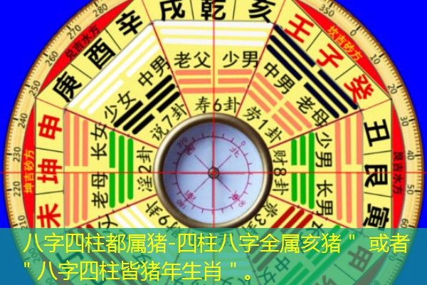  八字四柱都属猪-四柱八字全属亥猪＂ 或者 ＂八字四柱皆猪年生肖＂。