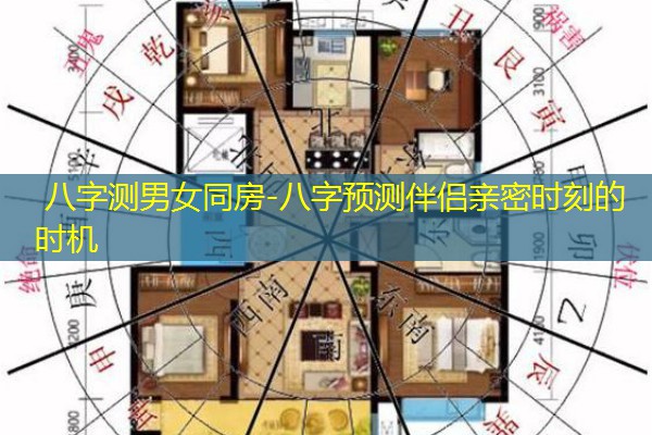  八字测男女同房-八字预测伴侣亲密时刻的时机