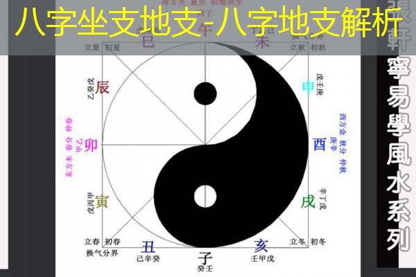  八字坐支地支-八字地支解析
