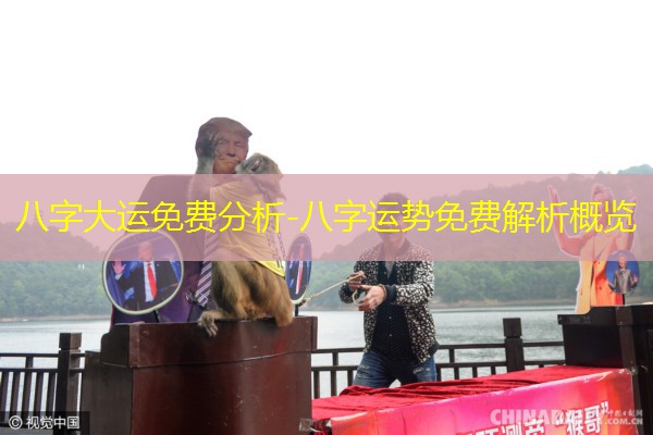  八字大运免费分析-八字运势免费解析概览