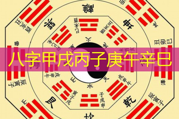  八字甲戌丙子庚午辛巳