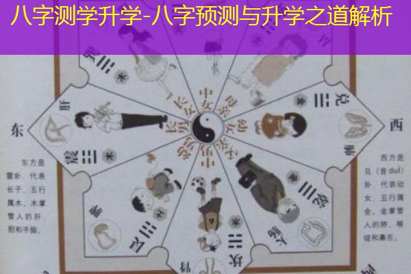  八字测学升学-八字预测与升学之道解析