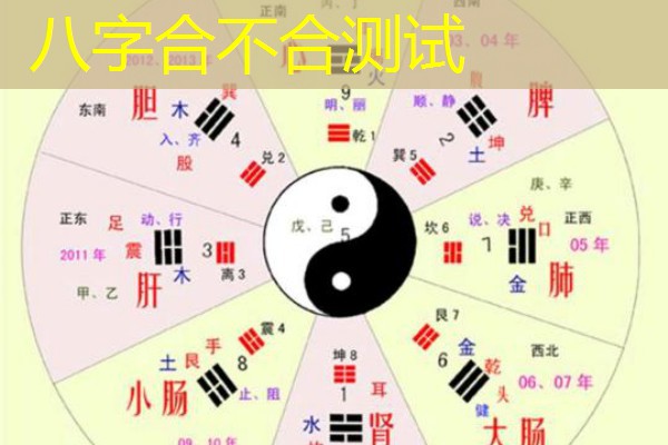  八字合不合测试