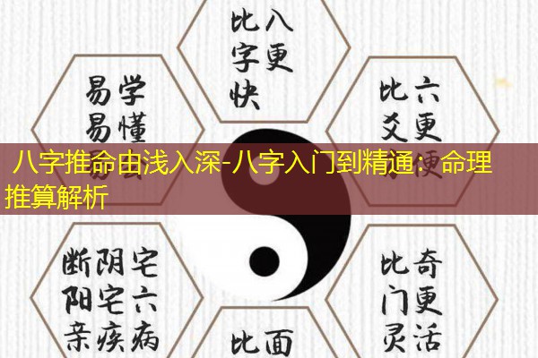  八字推命由浅入深-八字入门到精通：命理推算解析
