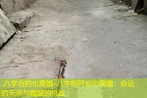  八字合的也离婚-八字相符却仍离婚：命运的无奈与婚姻的挑战