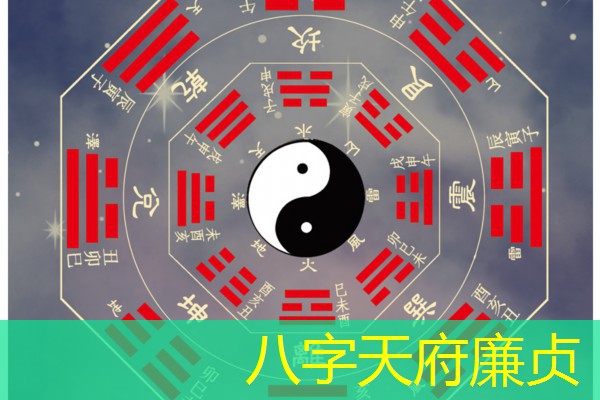  八字天府廉贞