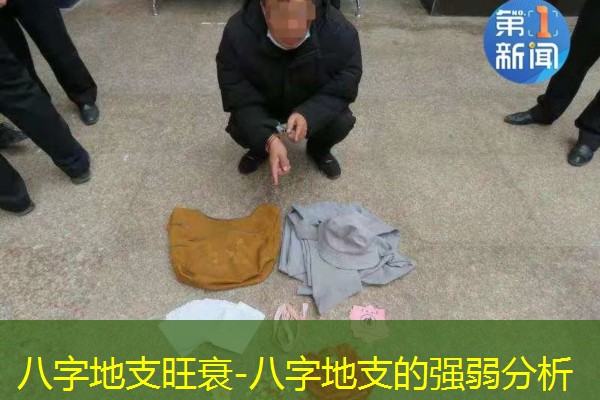  八字地支旺衰-八字地支的强弱分析