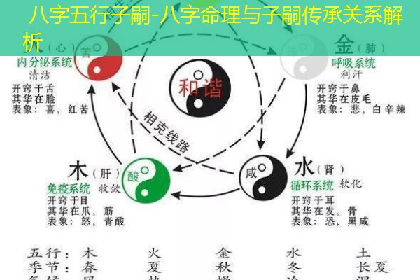  八字五行子嗣-八字命理与子嗣传承关系解析