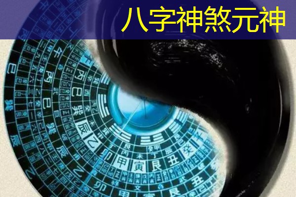  八字神煞元神