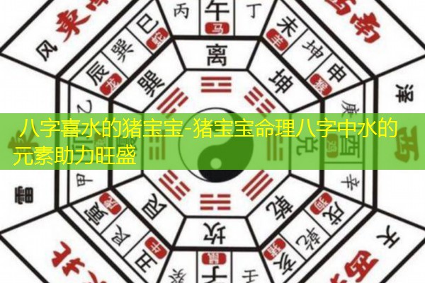  八字喜水的猪宝宝-猪宝宝命理八字中水的元素助力旺盛