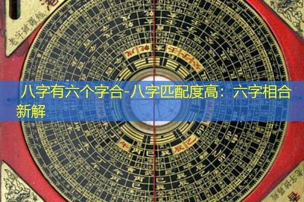  八字有六个字合-八字匹配度高：六字相合新解