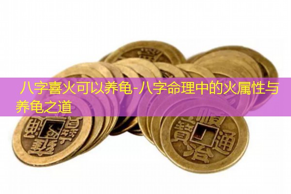  八字喜火可以养龟-八字命理中的火属性与养龟之道