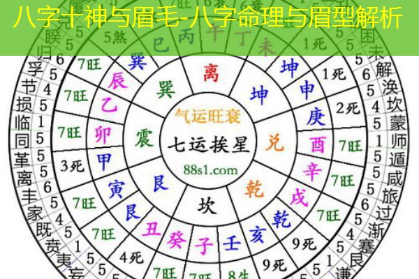  八字十神与眉毛-八字命理与眉型解析