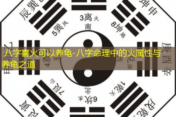 八字喜火可以养龟-八字命理中的火属性与养龟之道