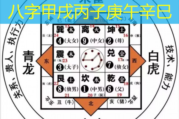  八字甲戌丙子庚午辛巳