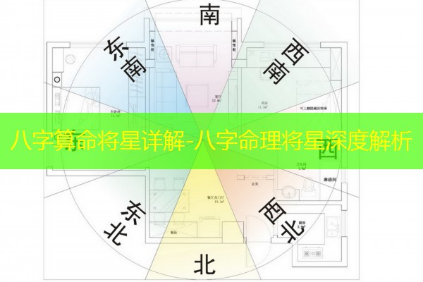  八字算命将星详解-八字命理将星深度解析