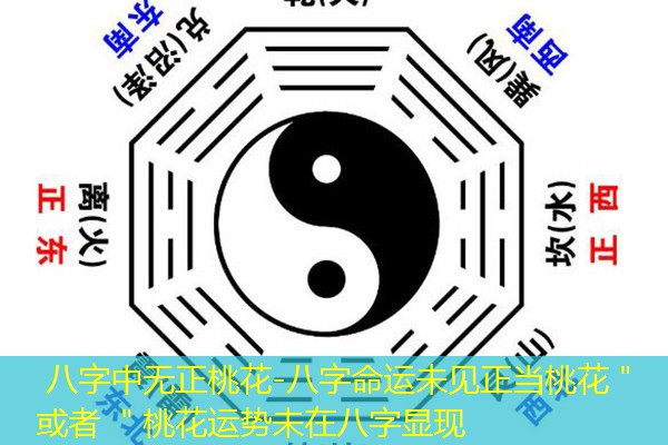  八字中无正桃花-八字命运未见正当桃花＂ 或者 ＂桃花运势未在八字显现
