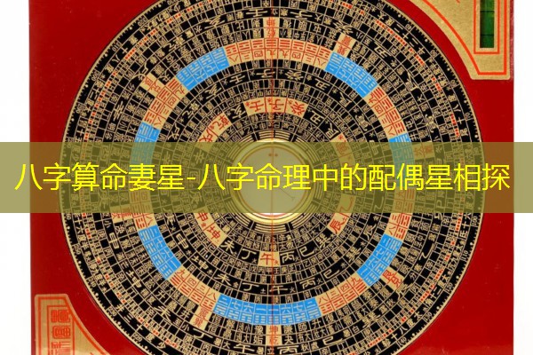  八字算命妻星-八字命理中的配偶星相探