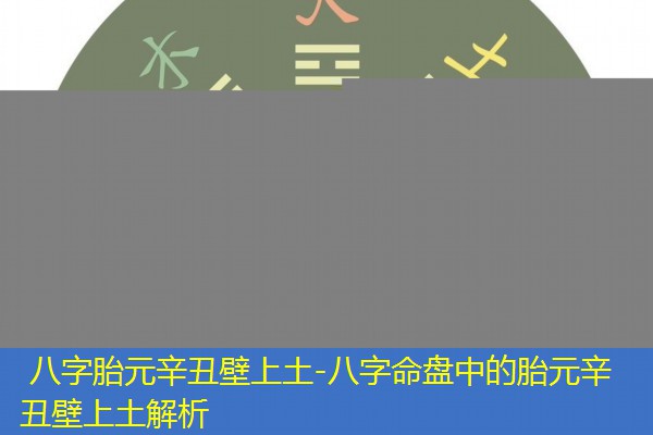  八字胎元辛丑壁上土-八字命盘中的胎元辛丑壁上土解析