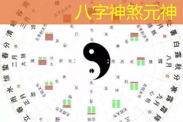  八字神煞元神