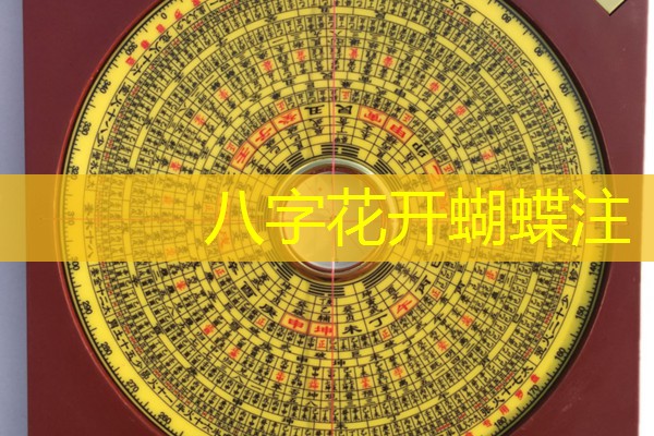  八字花开蝴蝶注