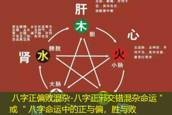  八字正偏败混杂-八字正邪交错混杂命运＂ 或 ＂八字命运中的正与偏，胜与败