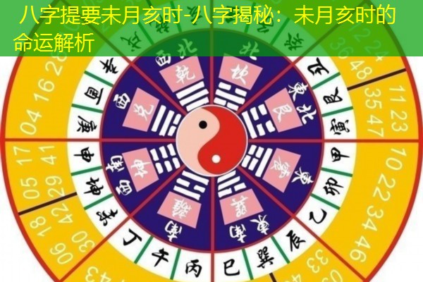 八字提要未月亥时-八字揭秘：未月亥时的命运解析