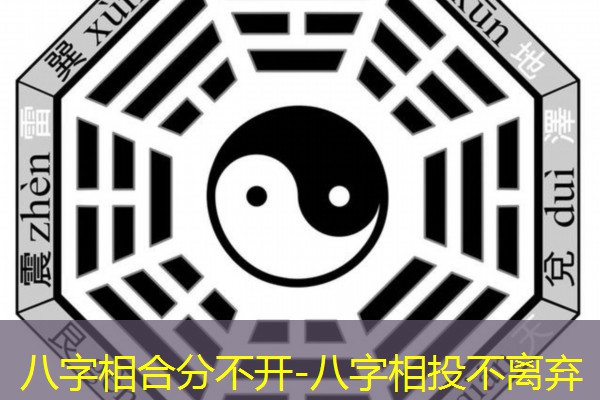  八字相合分不开-八字相投不离弃