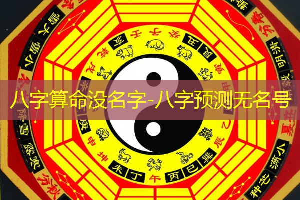  八字算命没名字-八字预测无名号