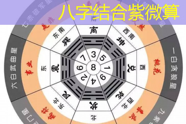 八字结合紫微算