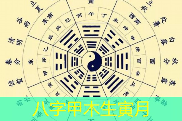 八字甲木生寅月