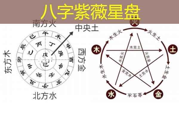  八字紫薇星盘