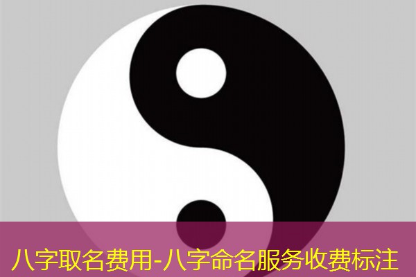  八字取名费用-八字命名服务收费标注