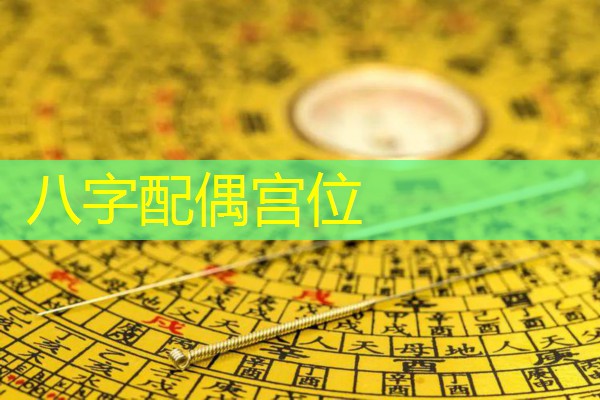  八字配偶宫位