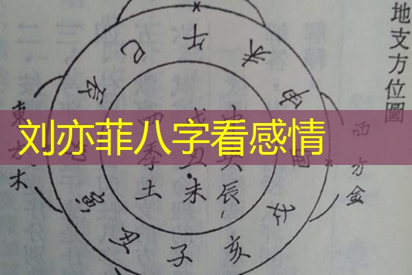  刘亦菲八字看感情