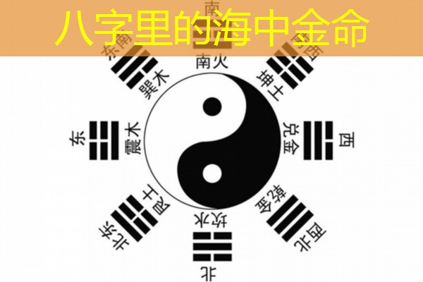  八字里的海中金命