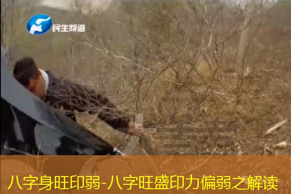  八字身旺印弱-八字旺盛印力偏弱之解读