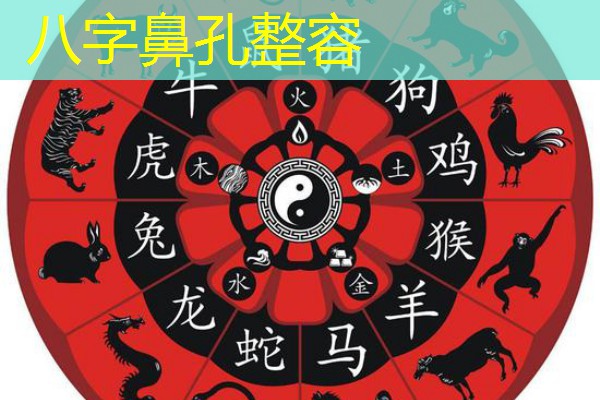  八字鼻孔整容
