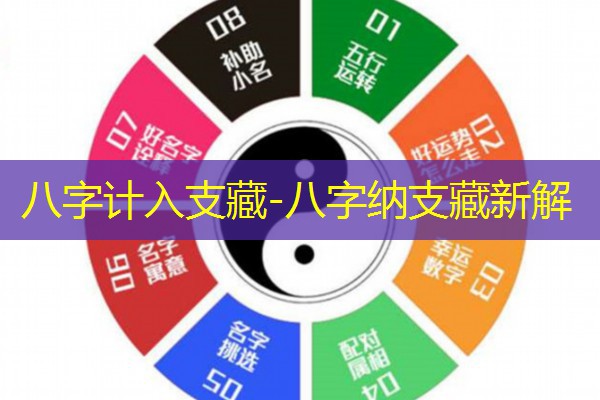  八字计入支藏-八字纳支藏新解