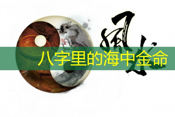  八字里的海中金命