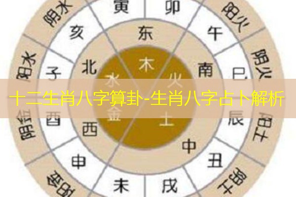  十二生肖八字算卦-生肖八字占卜解析